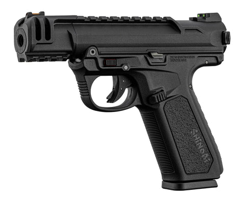 AAP-01C Custom Build Pistol + Labour Costs