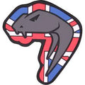 Viper Snake Head Patch