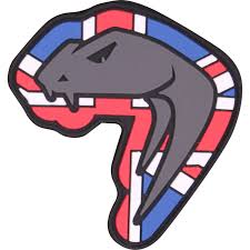 Viper Snake Head Patch